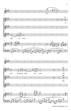 A Minuet Of Mozart's von Kelsey Hohnstein-Reinhart 