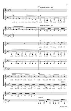 Team 