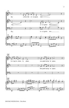 Solitary Winter Star von Jerry Estes (Download) 