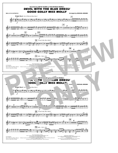 Devil With The Blue Dress/Good Golly Miss Molly von Mitch Ryder (Download) 