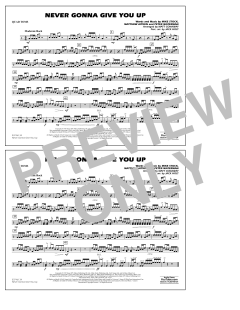 Never Gonna Give You Up von Rick Astley (Download) 