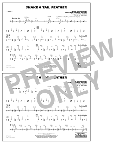 Shake a Tail Feather (Download) 