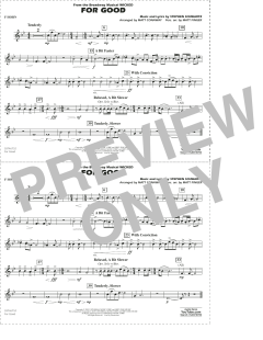 For Good von Stephen Schwartz (Download) 