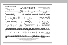 Wake Me Up! von Avicii (Download) 