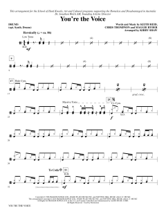 You're The Voice von John Farnham (Download) 
