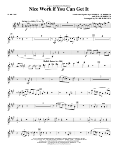 Nice Work If You Can Get It (Download) 