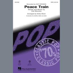 Peace Train von Cat Stevens (Download) 