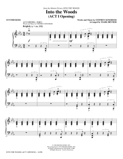 Into The Woods (Download) 