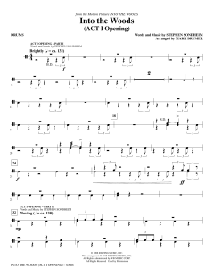 Into The Woods (Download) 