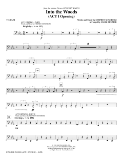 Into The Woods (Download) 