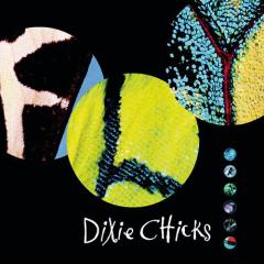Some Days You Gotta Dance von The Chicks (Download) 