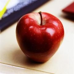 Teacher's Pet von Joe Lubin (Download) 