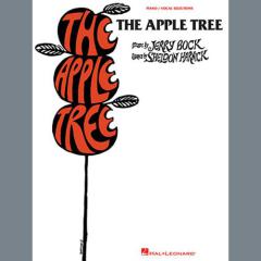 Oh, To Be A Movie Star von Jerry Bock (Download) 