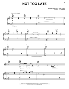 Not Too Late von Norah Jones (Download) 
