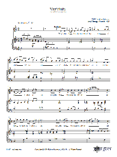 Vay'chulu von Robbie Solomon (Download) 