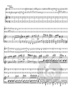 Trio in B op. 97 - "Erzherzog" von Ludwig van Beethoven (Download) 