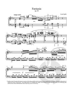 Fantasie in c-Moll op. 35 
