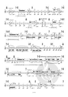 beyond (a system of passing) for flute solo (2013) von Matthias Pintscher (Download) 