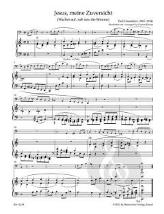 organ plus one: Tiefe Instrumente I (Download) 