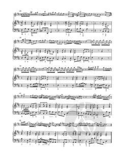 Sonate h-Moll für Flöte und Basso continuo von Georg Philipp Telemann im Alle Noten Shop kaufen