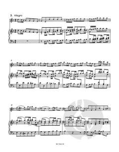 Konzert d-Moll für Violine, Streicher und Basso continuo von Johann Sebastian Bach (Download) 