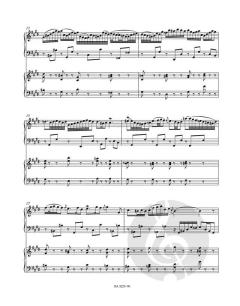 Concerto Nr. 2 E-Dur BWV 1053 von Johann Sebastian Bach (Download) 