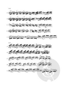 6 Suiten BWV 1007-1012 von Johann Sebastian Bach 
