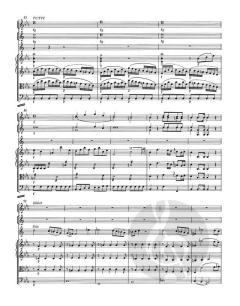 Konzert Nr. 2 Es-Dur KV 417 von Wolfgang Amadeus Mozart (Download) 