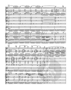 Klavierkonzert Nr. 21 C-Dur KV 467 von Wolfgang Amadeus Mozart 