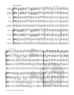 Serenata notturna KV 239 von Wolfgang Amadeus Mozart 