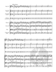 Sinfonie Nr. 7 D-Dur KV 45 von Wolfgang Amadeus Mozart 