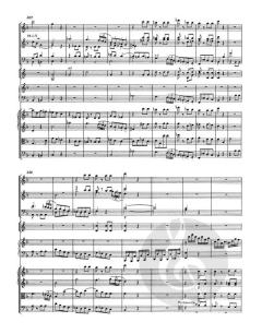 Klavierkonzert Nr. 19 F-Dur KV 459 von Wolfgang Amadeus Mozart 