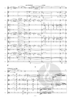 Sonata da Camera op. 42 von Thomas Daniel Schlee (Download) 