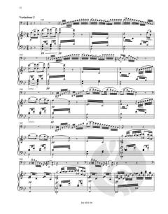 Konzertstück für Fagott und Orchester op. 2 (Franz Berwald) 