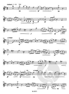Concerto h-Moll op. 35 von Oskar Rieding 