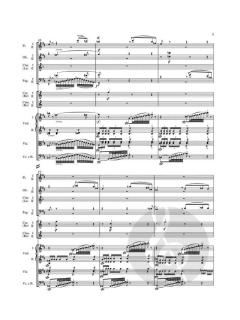 Symphonie Nr. 2 op. 36 von Ludwig van Beethoven 