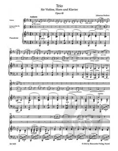 Trio op. 40 (Johannes Brahms) 