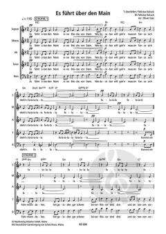 Es führt über den Main von Felicitas Kukuck (Download) 