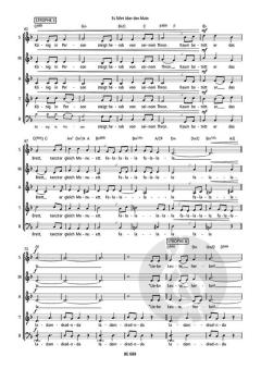 Es führt über den Main von Felicitas Kukuck (Download) 