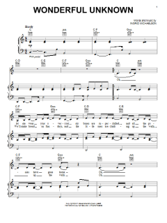 Wonderful Unknown von Ingrid Michaelson (Download) 