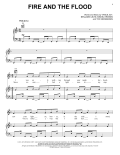 Fire And The Flood von Vance Joy (Download) 