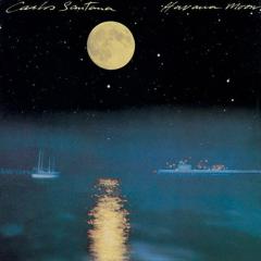 They All Went To Mexico von Greg Brown (Download) 