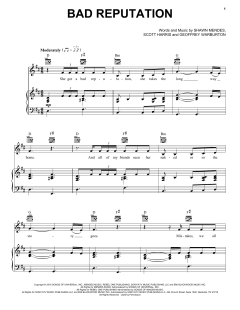 Bad Reputation von Shawn Mendes (Download) 