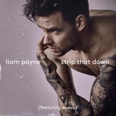 Strip That Down (feat. Quavo) von Liam Payne (Download) 