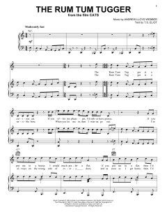 The Rum Tum Tugger von Jason Derulo (Download) 