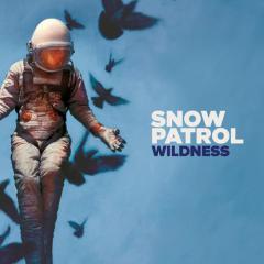 What If This Is All The Love You Ever Get? von Snow Patrol (Download) 