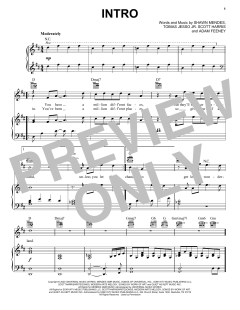 Intro von Shawn Mendes (Download) 