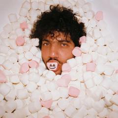 You (with Marshmello & Vance Joy) (Download) 