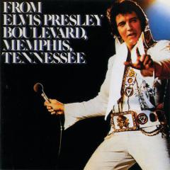 Never Again von Elvis Presley (Download) 