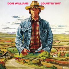 Falling In Love von Don Williams (Download) 